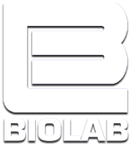 logo-wb.png
